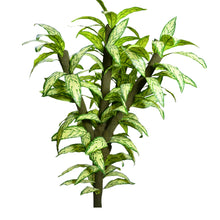 Artificial Plant Tree 6 feet height  in  Moss Stem