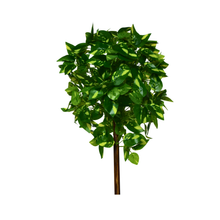 Artificial Real Touch Plant without Pot (Height - 60 cm)