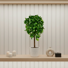 Artificial Real Touch Plant without Pot (Height - 60 cm)