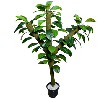 Artificial Green Plant in 4 feet Moss Stem (Without pot)