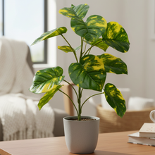 Artificial Plant 12 Leaves without Pot - Height 50 cm - Design -3
