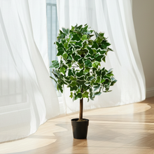 Artificial Real Touch Plant without Pot (Height - 60 cm)