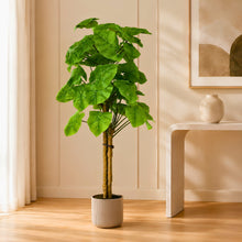 Artificial Plamt setof 3 Chinese stick big leaves