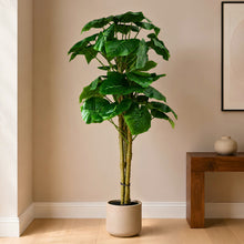 Artificial Plant set of 3, chinese stick big leaves