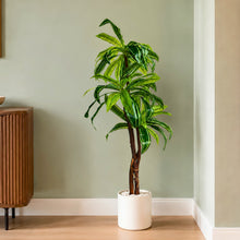 Artificial Plant set of 3 spider 60 leaves