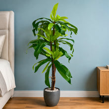 Artificial Plant set of 3 spider 60 leaves