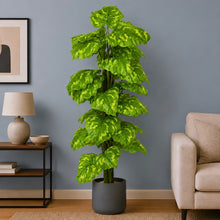 Artificial pant  4ft Moss plant, 36 Big leaves
