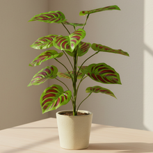 Artificial Plant 12 Leaves without Pot - Height 50 cm - Design -5