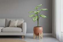 Artificial Plant 12 Leaves without Pot - Height 60 cm - Design -5
