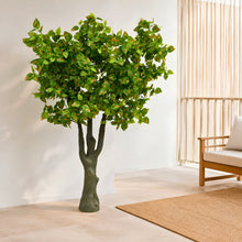 Artficial Plant 5.5ft
