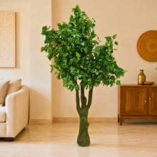 Artificial Plant 5.5feet