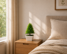 Artificial Cone Bonsai in Topaz Pot (Height : 31 cm)