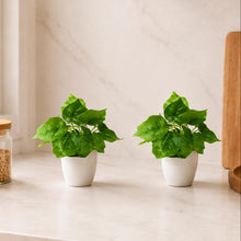 set of 2 real touch leaves in glassi pot
