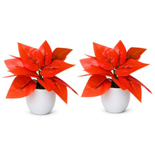 set of 2 real touch leaves in glassi pot