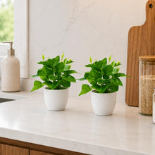 set of 2 real touch leaves in glassi pot