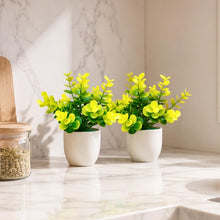 set of 2 tulsi in glassi 5 taar