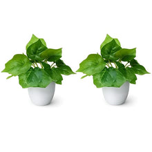 set of 2 real touch leaves in glassi pot
