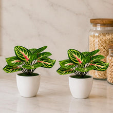 set of 2 real touch leaves in glassi pot