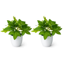 set of 2 real touch leaves in glassi pot