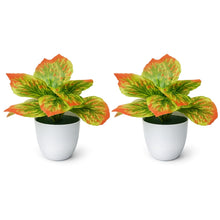 set of 2 real touch leaves in glassi pot