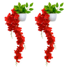 set of 2 Wisteria with pot