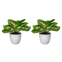 set of 2 real touch leaves in glassi pot