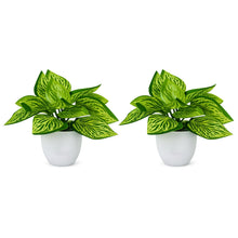 set of 2 real touch leaves in glassi pot