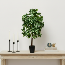 Artificial Real Touch Plant without Pot (Height - 60 cm)