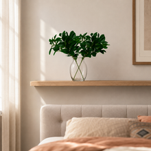 fancymart Artificial Rubber Plant Set of 2 (30cm) - Lifelike Greenery for Stylish Home & Office Decor