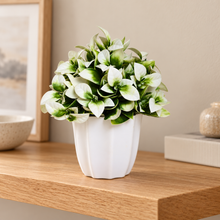 Artificial Citrus Leaves White Bunch in Pot - 22 cm Height