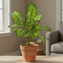 Artificial Plant 15 Leaves without Pot - Height 40 cm - Design -6