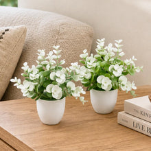 set of 2 tulsi in glassi 5 taar