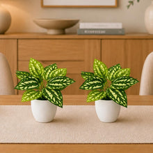 set of 2 real touch leaves in glassi pot
