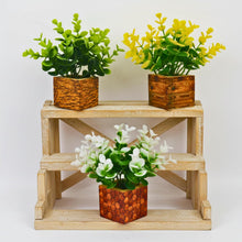 set of 3 tulsi in printed pot