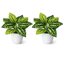 set of 2 real touch leaves in glassi pot