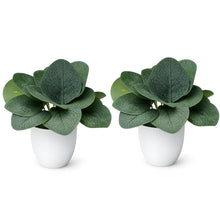 set of 2 real touch leaves in glassi pot