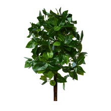 Artificial Real Touch Plant without Pot (Height - 60 cm)