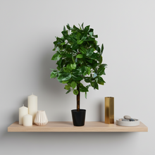 Artificial Real Touch Plant without Pot (Height - 60 cm)