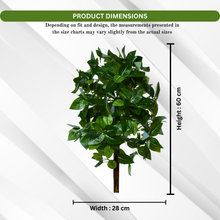 Artificial Real Touch Plant without Pot (Height - 60 cm)