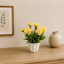 Artificial carnation light bunch in star pot ( Height : 30 x Width : 22)