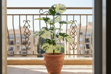 Artificial Plant 12 Leaves without Pot - Height 60 cm - Design -7