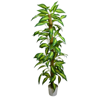 Artificial Plant without Pot - 62- Height (6 Feet)