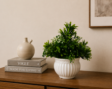 Artificial Plant Euphorbia in White Pot (Height : 22 cm)