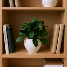 Artificial Rubber Plant in 4 inch White Apple Pot (Height 22 cm) for Home and Office Decor Plants for Decoration, Realistic Green Decorative for Interior, Living Room, Office Desk"