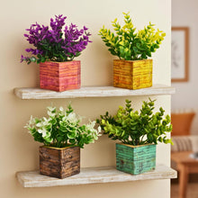 set of 4 hackleberry in printed pot