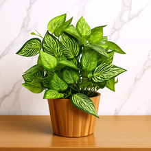 Artificial Real Touch Plant Leaves in Wood Pot (Height 30 cm)