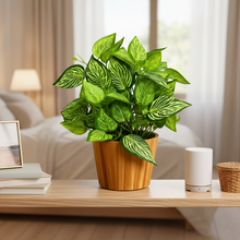 Artificial Real Touch Plant Leaves in Wood Pot (Height 30 cm)