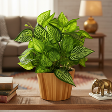 Artificial Real Touch Plant Leaves in Wood Pot (Height 30 cm)