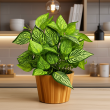 Artificial Real Touch Plant Leaves in Wood Pot (Height 30 cm)