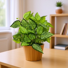 Artificial Real Touch Plant Leaves in Wood Pot (Height 30 cm)